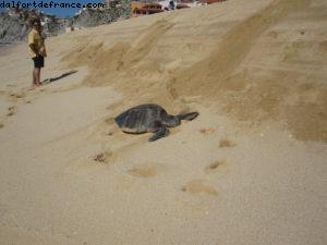 Cabo San Lucas - Notre 30eme croisière Atlantis (à bord du Mariner of the Seas)