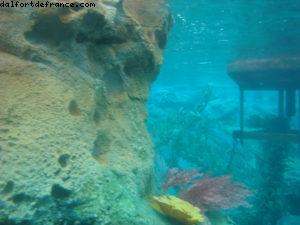 Disneyland avec Bob Gurr - Los Angeles