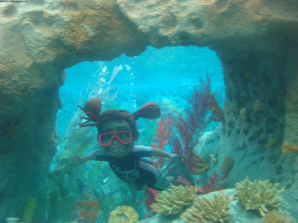 Disneyland avec Bob Gurr - Los Angeles