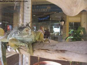 Grand Cayman- Notre 31eme croisière Atlantis (à bord du Liberty of the Seas) 