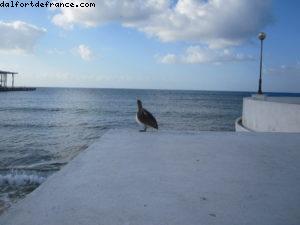 Cozumel- Notre 31eme croisière Atlantis (à bord du Liberty of the Seas) 