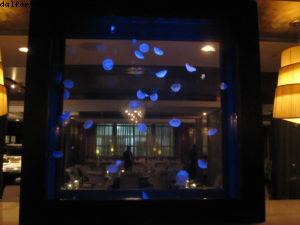 Hôtel Victor - Miami Beach