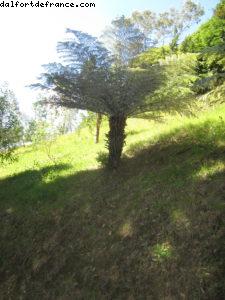 Wellington - Notre 32eme croisière Atlantis (à bord du Volendam)