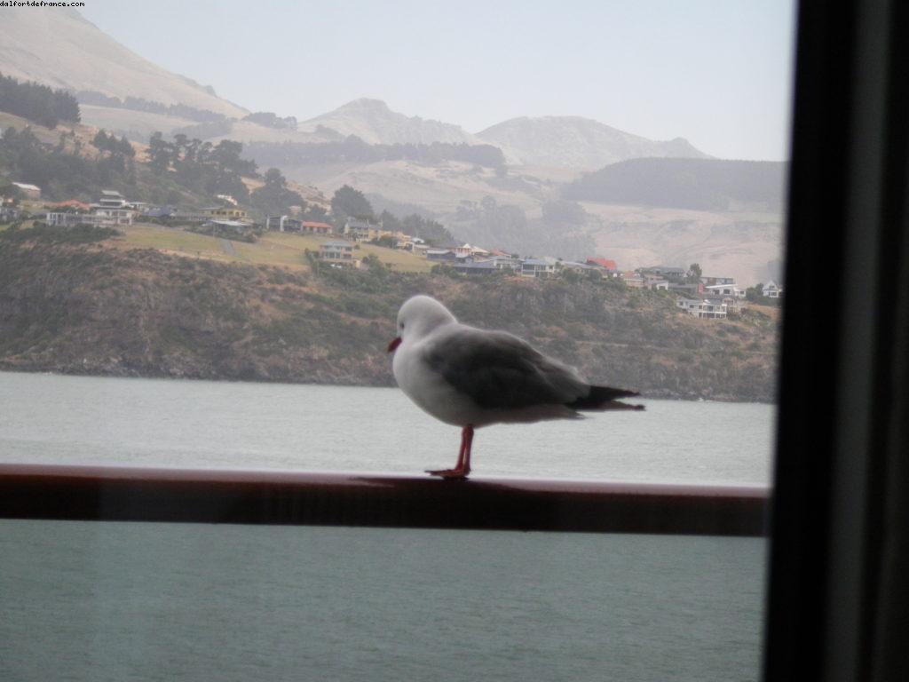Notre 32eme croisière Atlantis (à bord du Volendam)