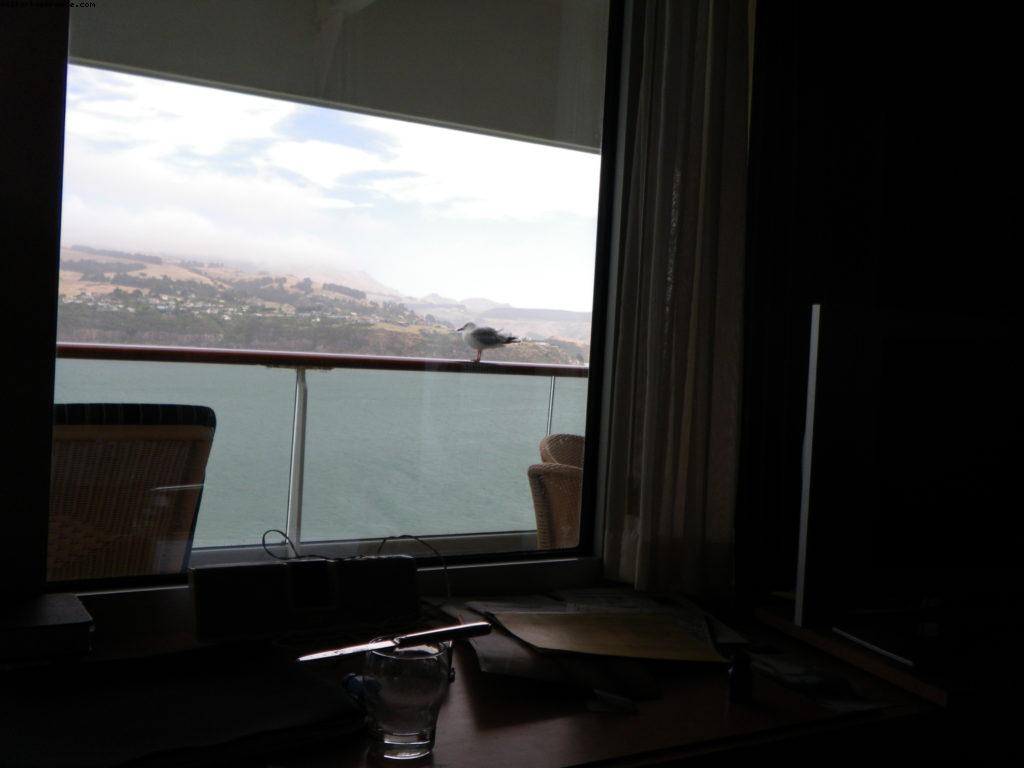 Notre 32eme croisière Atlantis (à bord du Volendam)