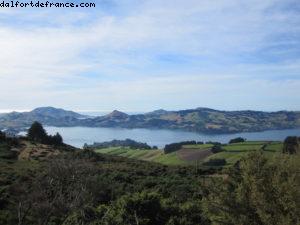 Dunedin - Notre 32eme croisière Atlantis (à bord du Volendam)