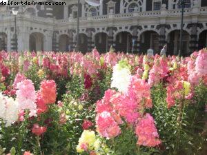 Dunedin - Notre 32eme croisière Atlantis (à bord du Volendam)