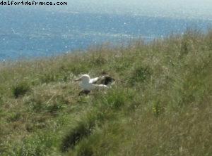 Dunedin - Notre 32eme croisière Atlantis (à bord du Volendam)