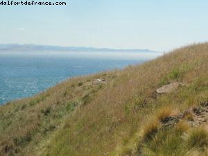 Dunedin - Notre 32eme croisière Atlantis (à bord du Volendam)
