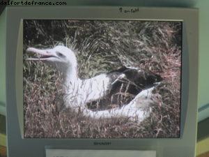 Dunedin - Notre 32eme croisière Atlantis (à bord du Volendam)
