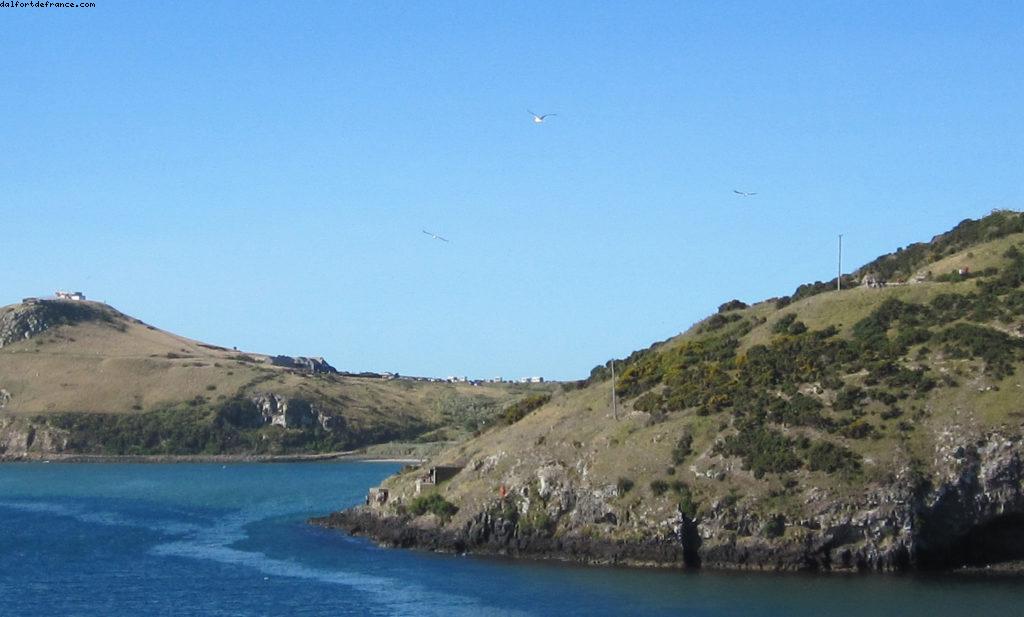 Dunedin - Notre 32eme croisière Atlantis (à bord du Volendam)