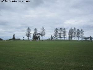 Wollongong - Mardi Gras - Sydney