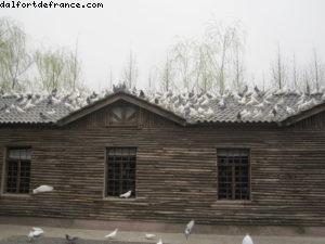 Century Park - Shanghai