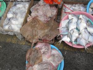 Fish Market - Busan - Our 33rd Atlantis cruise (Azamara Quest)