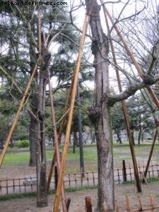 Hiroshima - Our 33rd Atlantis cruise (Azamara Quest)