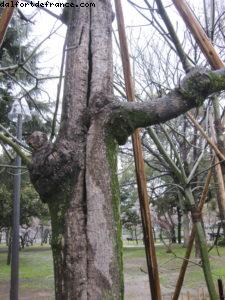 Hiroshima - Our 33rd Atlantis cruise (Azamara Quest)