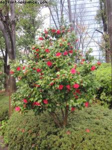 Osaka - Our 33rd Atlantis cruise (Azamara Quest)