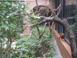 Jardin botanique - Hong Kong