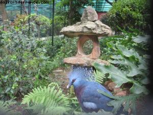 Jardin botanique - Hong Kong
