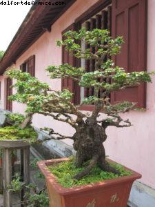 Citée impériale de Hué - Notre 34eme croisière Atlantis (à bord de l'Azamara Quest)