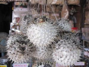 Nah Trang - Notre 34eme croisière Atlantis (à bord de l'Azamara Quest)