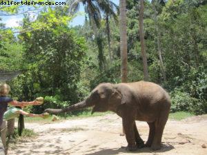 Koh Samui - Notre 34eme croisière Atlantis (à bord de l'Azamara Quest)
