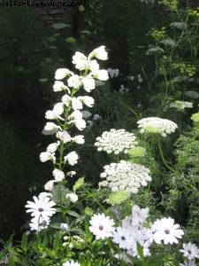 Tallin - Notre 35eme croisière Atlantis (à bord de l'Eurodam)