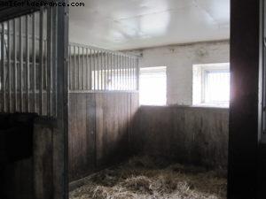 Ferme de Savijarvi - Notre 35eme croisière Atlantis (à bord de l'Eurodam)