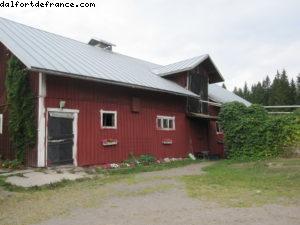 Ferme de Savijarvi - Notre 35eme croisière Atlantis (à bord de l'Eurodam)