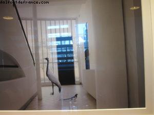 Our 37th Atlantis cruise (Celebrity Equinox)