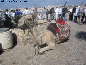 Jerusalem - Our 37th Atlantis cruise (Celebrity Equinox)