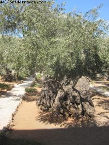 Jerusalem - Our 37th Atlantis cruise (Celebrity Equinox)