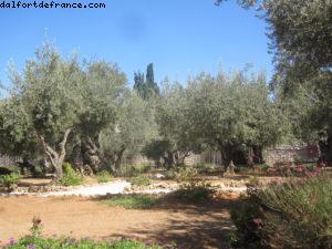 Jerusalem - Our 37th Atlantis cruise (Celebrity Equinox)