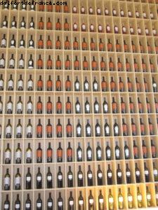 Hôtel Marqués de Riscal 