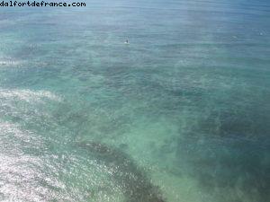 Hôtel Sheraton Waikiki - Honolulu