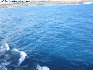 Notre 7eme croisière RSVP (à bord du Pride of Hawaii)