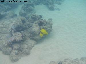 Little Beach - Maui - Hawaii - Notre 7eme croisière RSVP (à bord du Pride of Hawaii)