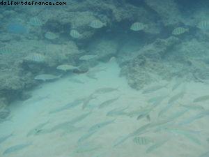 Little Beach - Maui - Hawaii - Notre 7eme croisière RSVP (à bord du Pride of Hawaii)