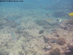 Little Beach - Maui - Hawaii - Notre 7eme croisière RSVP (à bord du Pride of Hawaii)