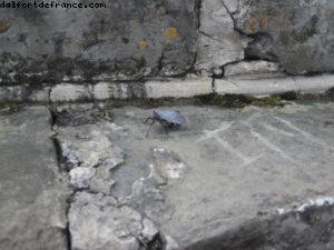 La grande Muraille - Pékin