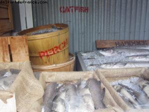 Universal Studios - Osaka