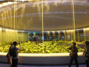 Pavillon de la Chine - Exposition Universelle de Shanghai