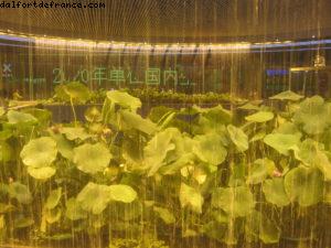 Pavillon de la Chine - Exposition Universelle de Shanghai