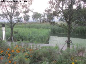 Expo Park - Exposition Universelle de Shanghai - Chine 