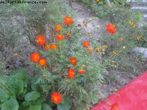 Expo Park - Exposition Universelle de Shanghai - Chine 