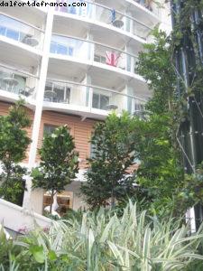 Central Park - Notre 39eme croisière Atlantis (à bord de l'Allure of the seas)