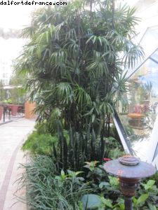 Central Park - Notre 39eme croisière Atlantis (à bord de l'Allure of the seas)