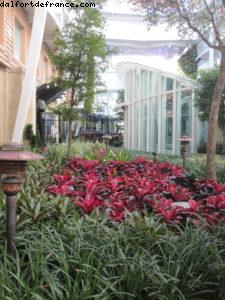 Central Park - Notre 39eme croisière Atlantis (à bord de l'Allure of the seas)