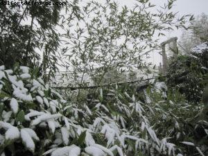 Disneyland Paris sous la neige