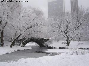 Tempête de neige - New York